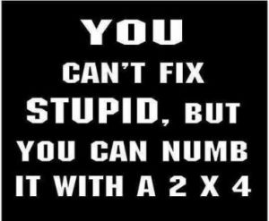 Stupid Bar Memes 46760974843ade92