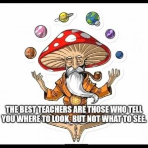 Stupid Bar Memes 47dce36f7bc56e3d