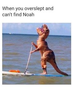 Stupid Bar Memes 4835081cd96f118d