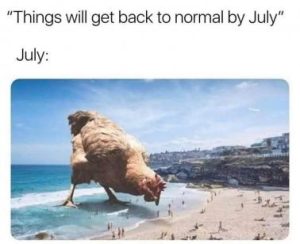 Stupid Bar Memes 4b3675b9832becdf