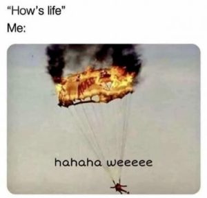 Stupid Bar Memes 4c16fdfa6b60fcb2