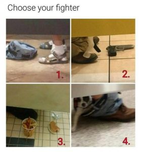 Stupid Bar Memes 528a060d60ed7c1e