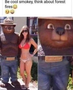 Stupid Bar Memes 56a167a15604556e