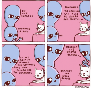 Stupid Bar Memes 5868e953d013fafb