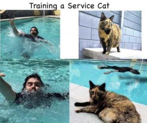 Stupid Bar Memes 5a8329d1445e621d