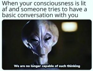 Stupid Bar Memes 5ab2db2cb52fffbf
