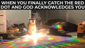 Stupid Bar Memes 5b43687a72cdce8c