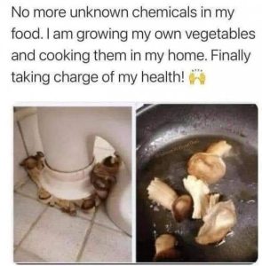 Stupid Bar Memes 60b41e59db2a3143
