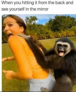 Stupid Bar Memes 71ef672965357243