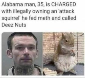 Stupid Bar Memes 7281f1481a3da9ff