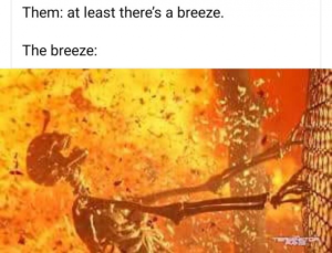 Stupid Bar Memes 73b566036036e3cb