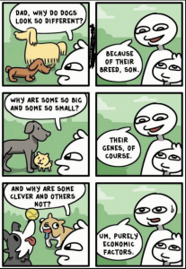 Stupid Bar Memes 7937bdb5c825a86c