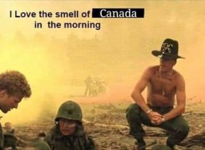 Stupid Bar Memes 79d04f9dea1e139a