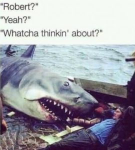 Stupid Bar Memes 7ad5c90b73eecbd2