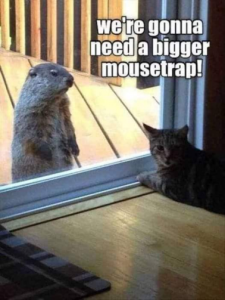 Stupid Bar Memes 8074d486daa3d754
