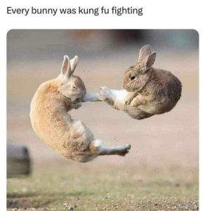 Stupid Bar Memes 83a46c48278af954