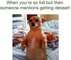 Stupid Bar Memes 84d1cfedc4e3ec5f