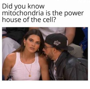 Stupid Bar Memes 87422464