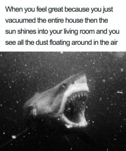 Stupid Bar Memes 893562110089d10f