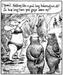 Stupid Bar Memes 8b02fc328944d0d8