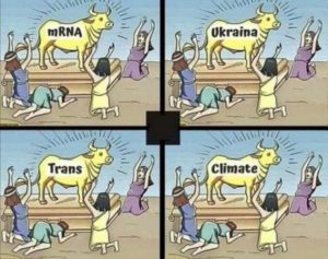Stupid Bar Memes 8ecda859ce578328