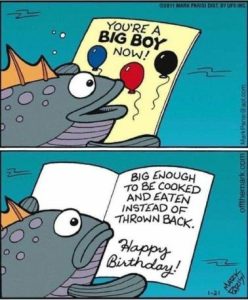 Stupid Bar Memes 8f3234eae891d5d2