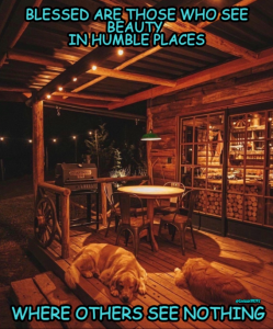 Stupid Bar Memes 9356cfc9508dbc73