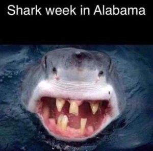 Stupid Bar Memes 9a6c496165f64c95