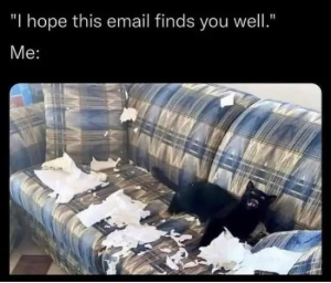 Stupid Bar Memes GNfw9s2
