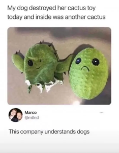 Stupid Bar Memes IMGs5971