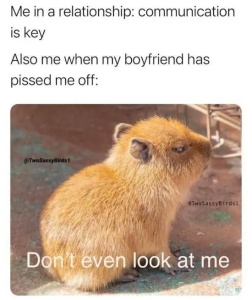 Stupid Bar Memes QsZ8JDe