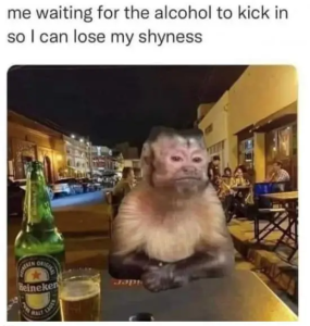 Stupid Bar Memes ScreensShots2023s06s29sats11.58.04sAM