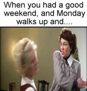 Stupid Bar Memes a6879fadd87b8e49