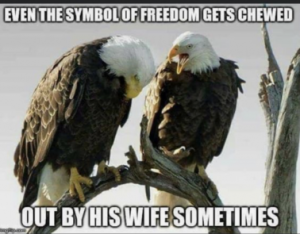 Stupid Bar Memes a7cfdf3aa4a6456f