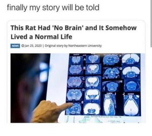 Stupid Bar Memes aR4N0rk