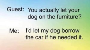 Stupid Bar Memes af2d21173308c775