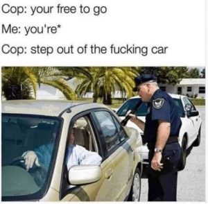 Stupid Bar Memes b80b5b69638cf3122159701f67697860swidths600