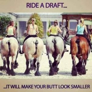 Stupid Bar Memes bdb18bdc6ffadf11