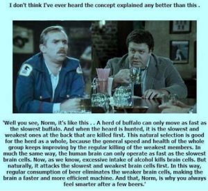 Stupid Bar Memes be050ac2cd62d561c60af6a8b1411b0dswidths600