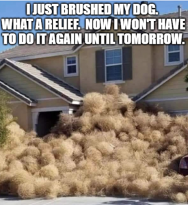 Stupid Bar Memes c2265952775f3a20