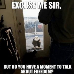 Stupid Bar Memes c4199947c3bf6a72