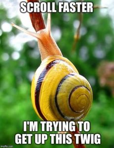 Stupid Bar Memes c611b7cb9efe6604