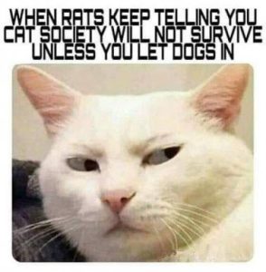 Stupid Bar Memes c6b9aee96688f01e