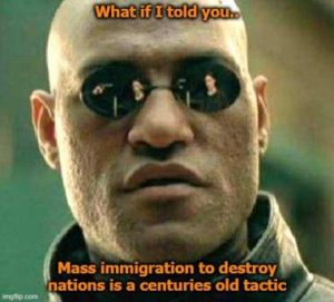 Stupid Bar Memes cdf6825e60a315c4
