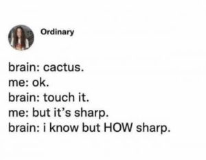 Stupid Bar Memes cfbe4382ac90bf69