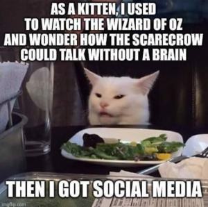 Stupid Bar Memes d236a2982141f2ad