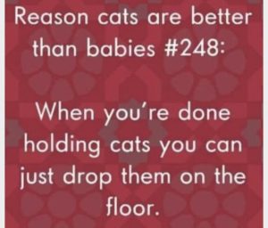 Stupid Bar Memes d368876e7863a47b