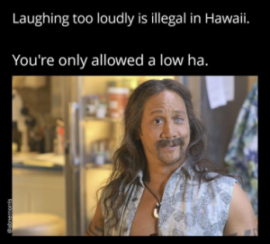 Stupid Bar Memes ddfe042da36e5ac0
