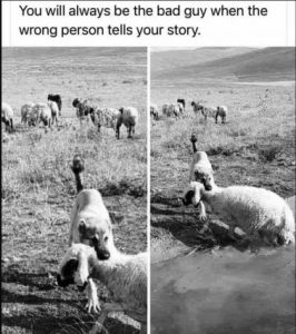 Stupid Bar Memes de92691534e32822