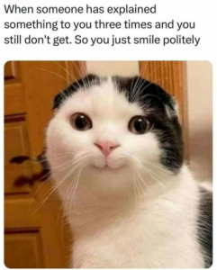 Stupid Bar Memes dee75a447595a41f